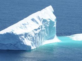 Image of 18 Day Luxury Antarctic Cruise