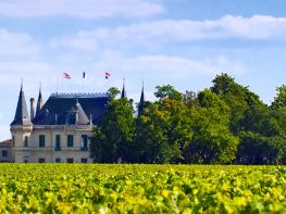 Image of Brilliant Bordeaux
