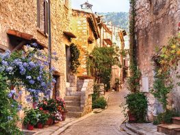 Image of Burgundy & Provence