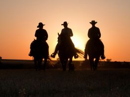 Image of Cowboy Life in Real Time